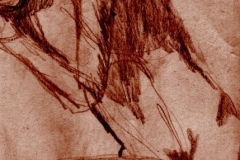 boceto modelo vivo